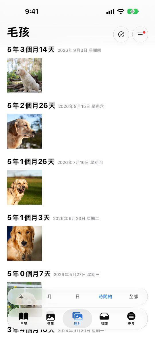 照片時間軸：毛孩標籤與歲月計算